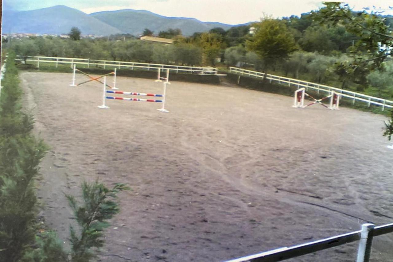 La Tenuta Del Barone SantʼAgata deʼ Goti 外观 照片