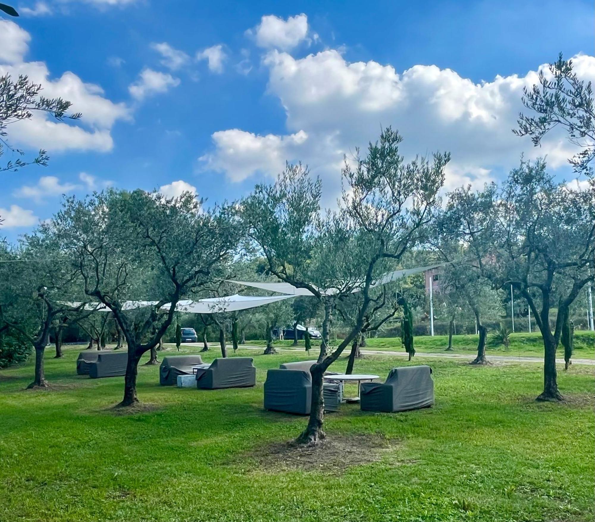 La Tenuta Del Barone SantʼAgata deʼ Goti 外观 照片